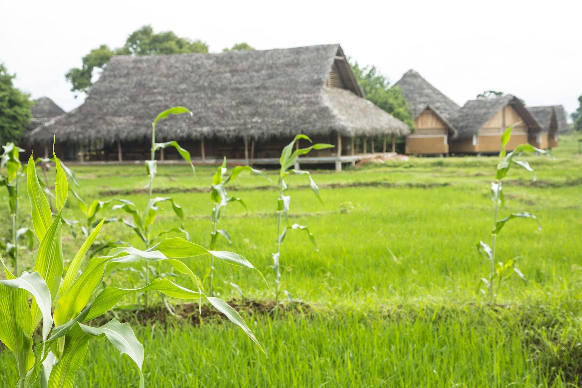 Aliya Resort And Spa - Thema Collection Sigiriya Exterior foto